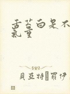 舌苔白是不是湿气重封面