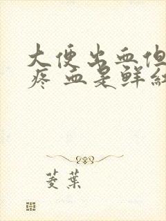 大便出血但是不疼 血是鲜红色是为什么