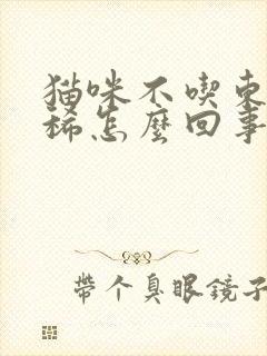 猫咪不吃东西拉稀怎么回事