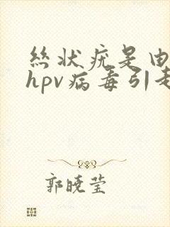 丝状疣是由哪种hpv病毒引起的