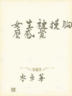 女生被摸胸有什么感觉