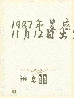 1987年农历11月12日出生是什么命封面