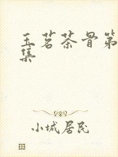 玉茗茶骨第30集封面