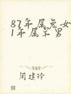 87年属兔女91年属羊男封面