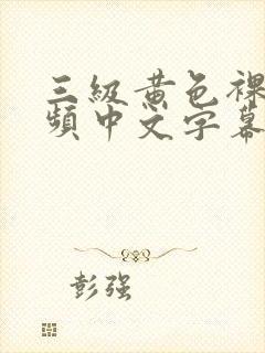 三级黄色裸体视频中文字幕