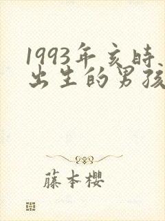 1993年亥时出生的男孩命运封面