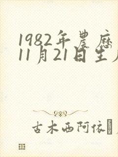 1982年农历11月21日生辰八字