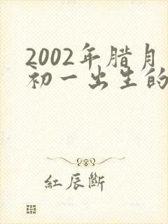 2002年腊月初一出生的男孩命运