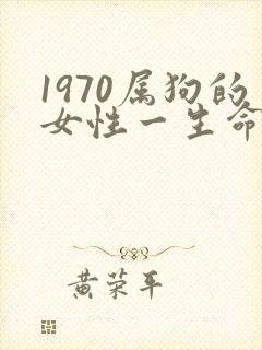 1970属狗的女性一生命运如何