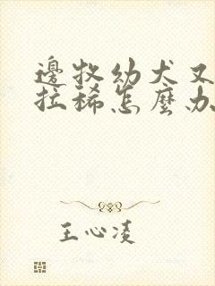 边牧幼犬又吐又拉稀怎么办啊