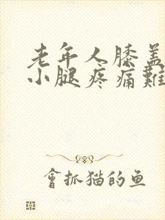 老年人膝盖以下小腿疼痛难忍