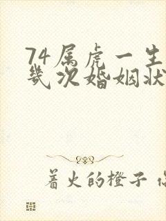 74属虎一生有几次婚姻状况