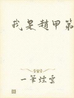 我是赵甲第小说