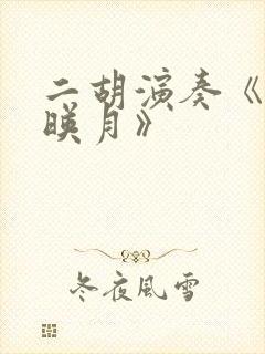 二胡演奏《二泉映月》