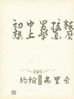 初中男孩叛逆不想上学怎么办封面