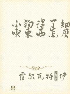 小狗得了细小不吃东西怎么办