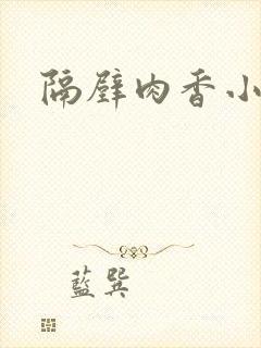 隔壁肉香小说