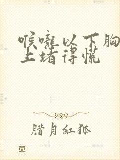 喉咙以下胸口以上堵得慌封面