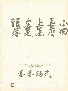 头皮上长小红疙瘩是怎么回事