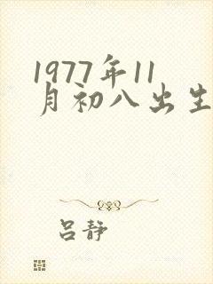 1977年11月初八出生的命运