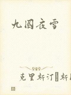 九国夜雪