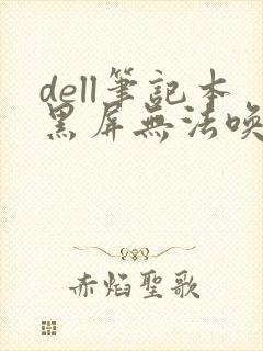 dell笔记本黑屏无法唤醒