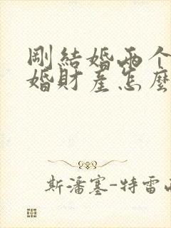 刚结婚两个月离婚财产怎么分