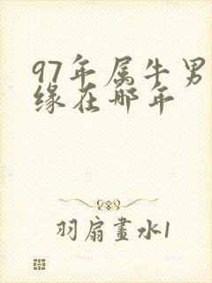 97年属牛男姻缘在哪年