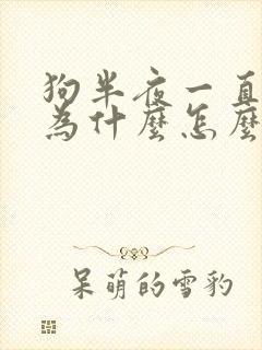 狗半夜一直叫唤为什么怎么解决