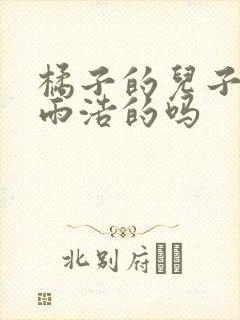 橘子的儿子是霍雨浩的吗