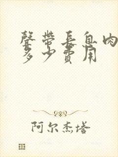 声带长息肉手术多少费用