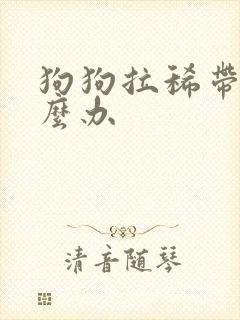 狗狗拉稀带血怎么办