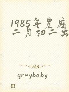 1985年农历二月初二出生是什么命
