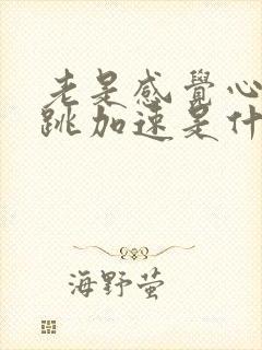 老是感觉心慌心跳加速是什么原因