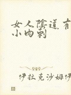 女人阴道有许多小肉刺