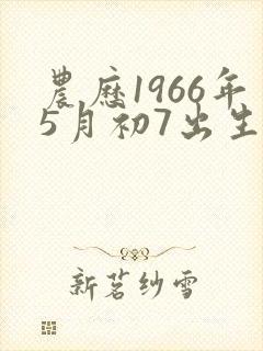 农历1966年5月初7出生命运如何