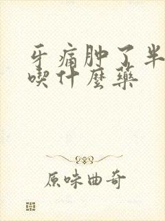 牙痛肿了半边脸吃什么药