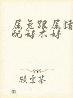 属兔跟属猪的婚配好不好