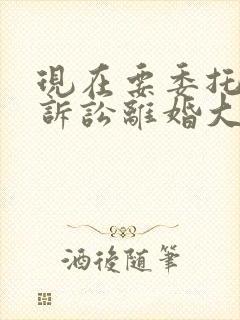 现在要委托律师诉讼离婚大概需要多少钱