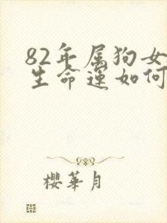 82年属狗女一生命运如何封面