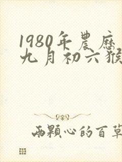 1980年农历九月初六猴女是啥命封面