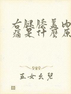 右腿膝盖内侧疼痛是什么原因引起的