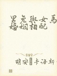 男兔与女马属相婚姻相配封面