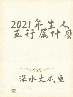 2021年生人五行属什么命