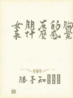 女朋友的胸摸起来什么感觉