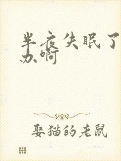 半夜失眠了怎么办啊