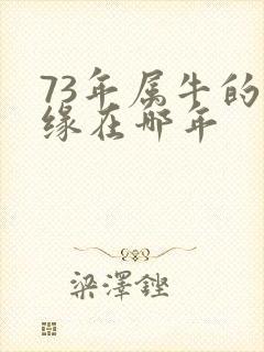 73年属牛的姻缘在哪年