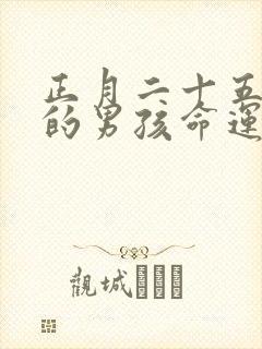 正月二十五出生的男孩命运如何