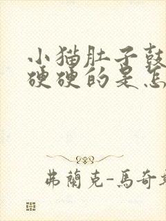 小猫肚子鼓鼓的硬硬的是怎么回事