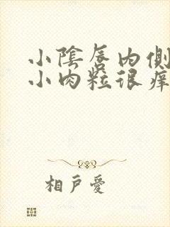 小阴唇内侧皮肤小肉粒很痒封面